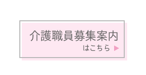 �p���t���b�g